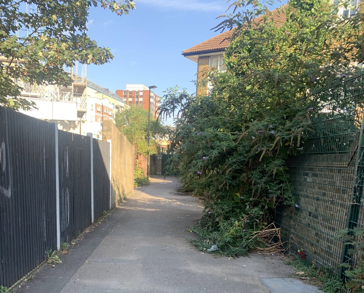 OvalRoad_NHW tweet media