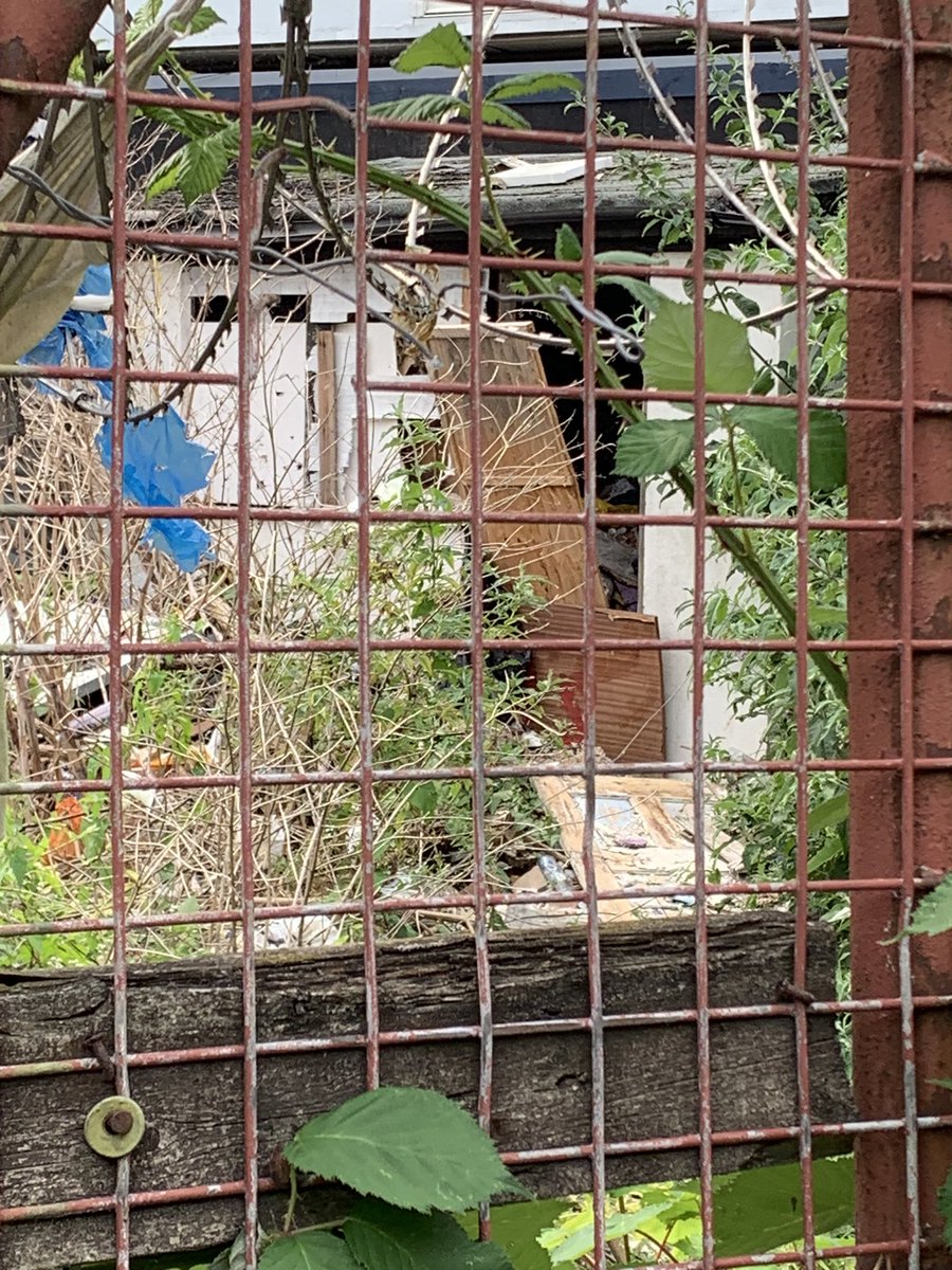 OvalRoad_NHW tweet media