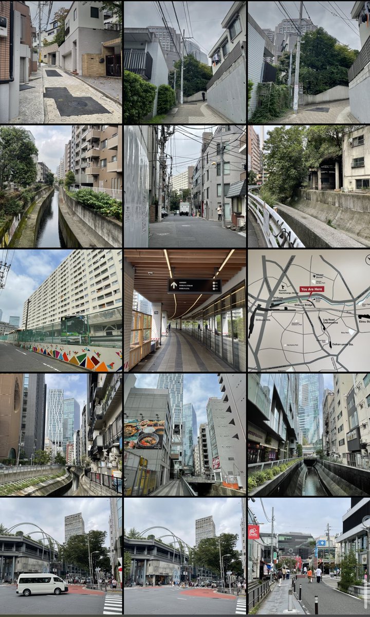 今日の散歩記録 