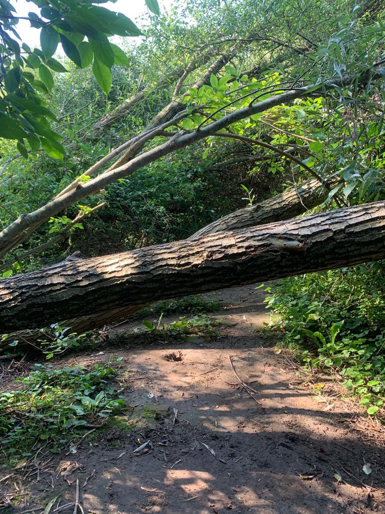 MathieuGremmen's tweet image. Het vergt enige lenigheid om de hobbels in het Weurtsche straatje te nemen. Beheer is in handen van @staatsbosbeheer @arjan_snel .
Het uitzicht vanaf de uitkijktoren is de moeite waard.