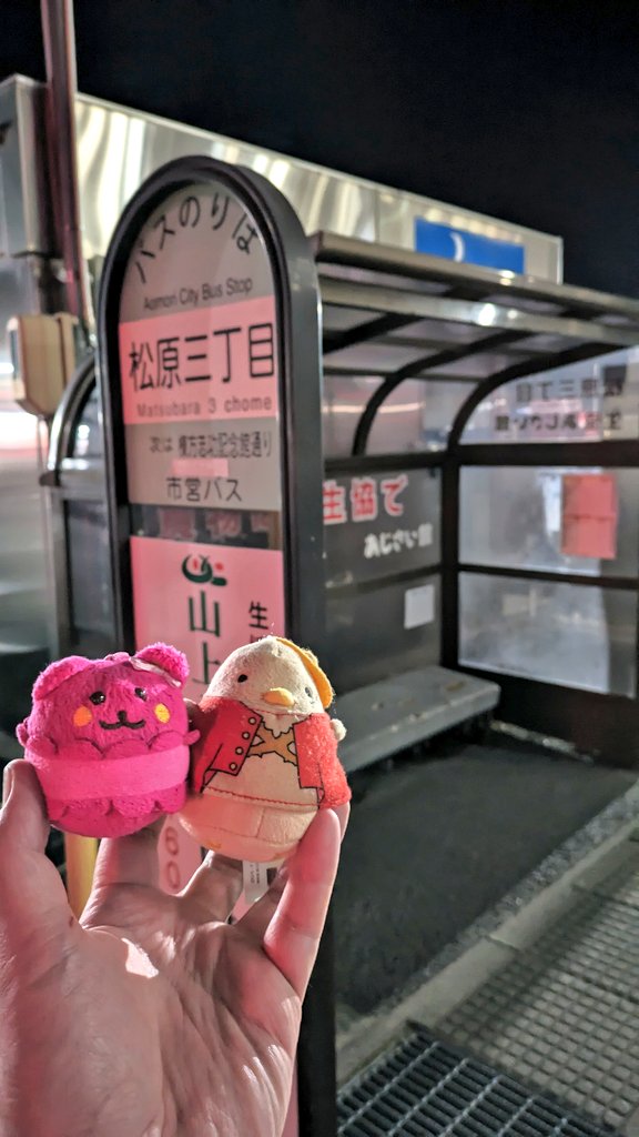 alpaonsensan's tweet photo. 青森市松原の青森市営バス【松原三丁目】バス停は、青森県民生協のすぐ前でお買い物にとっても便利!待合スペースもあって雨でも安心だね!Suicaとしても使えるアオパスaopassでバス利用楽しいな! #日本のバス120年 #バス停のある風景 #aopass #アオパス @NBA_bus @Aomorishibus https://t.co/Yftq4OTeKa