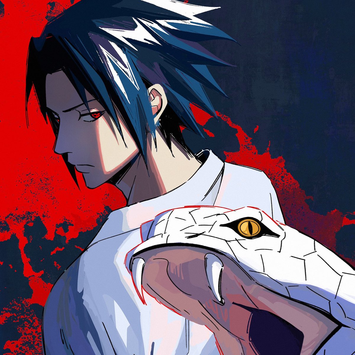 #صورة_ملف_شخصي_جديدة