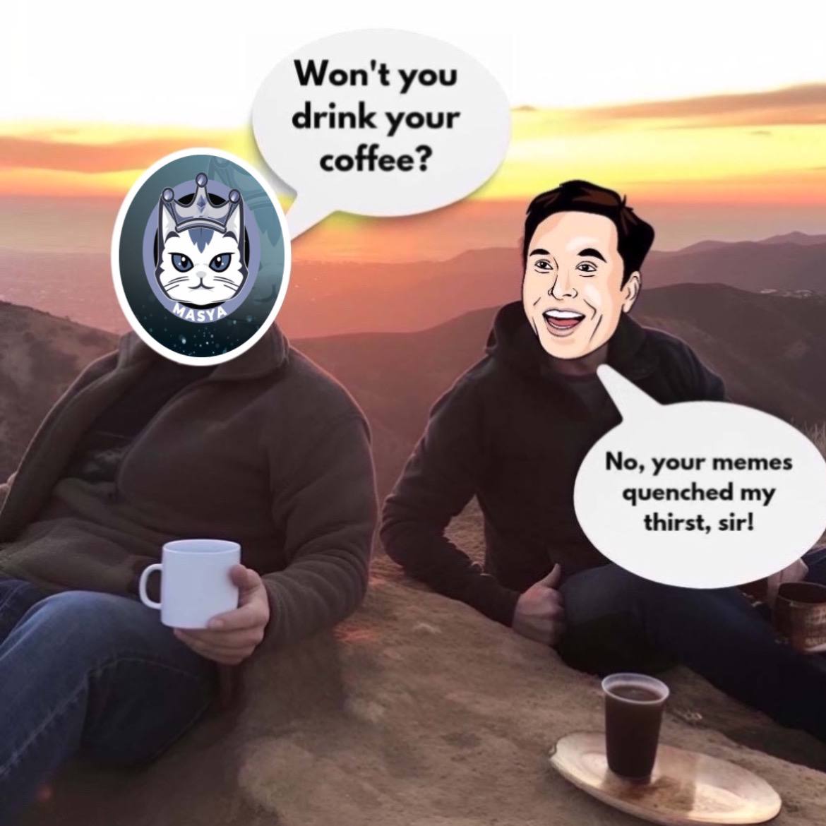 #Meme pumps the hardest in the #bullrun and what's a better meme than
<a href="/VitalikButerin/">vitalik.eth</a>'s cat? 😼