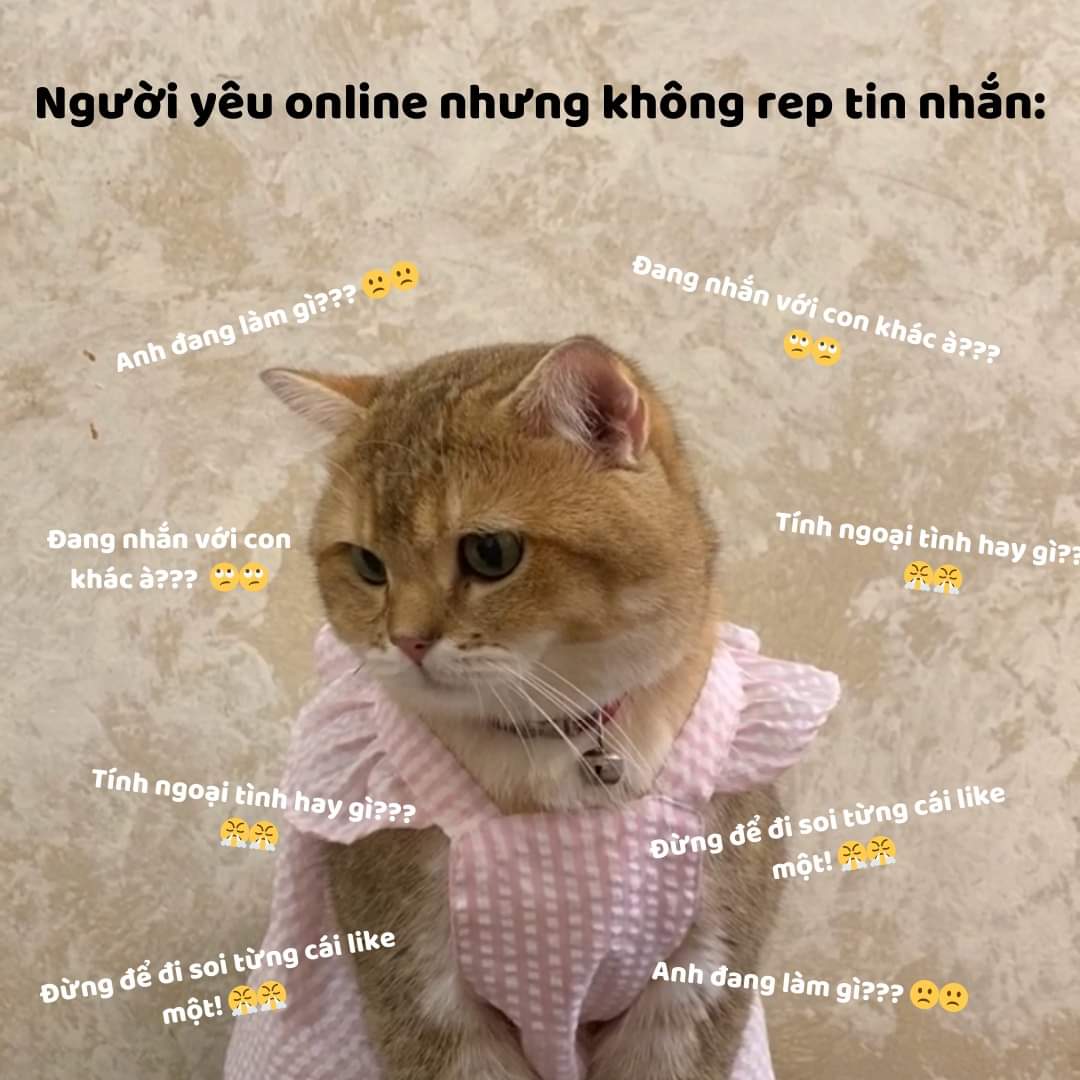 Mr_Hung36's tweet photo. Ủa??? Chắc là bận dữ lắm mới không rep nổi 1 tin chứ gì!! 🙂
#follow #cheouytin #like #วอลเลย์บอลชาย #MexicoCityTSTheErasTour #DangerousRomanceEP2 #BLACKPINK #Prigozhin #TikTok #템페스트 #웨이크원_토일팬싸미뤄 #GISELLExDingoStory #GISELLE #THEGIRLS https://t.co/Wp2NAUkazU