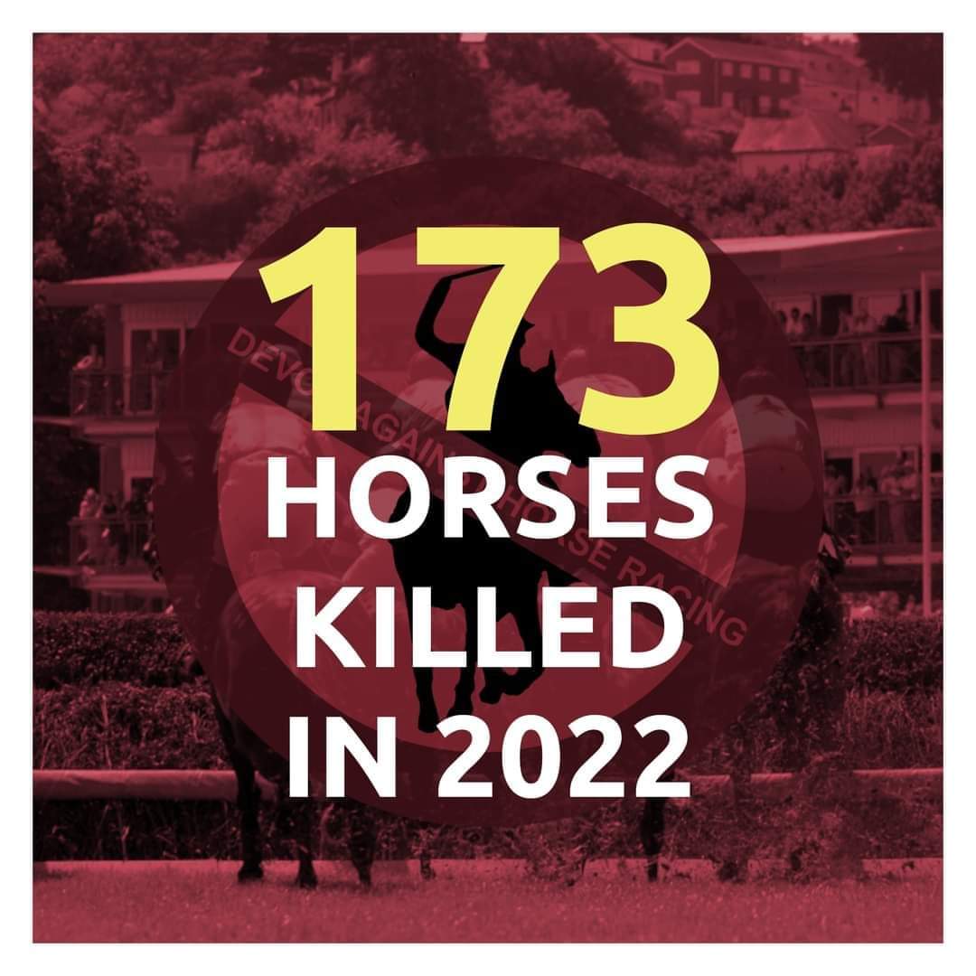 Horse racing is horse abuse!

#horseracing #banhorseracing #animalabuse #youbettheydie #crueltyyoucanbeton #boycotthorseracing #horseracingkills #animalrights #yourbetkills #attheraces #doncaster #equinelife #racingfacts #horselife #horseracinguk @DoncasterRaces @DonnyFreePress