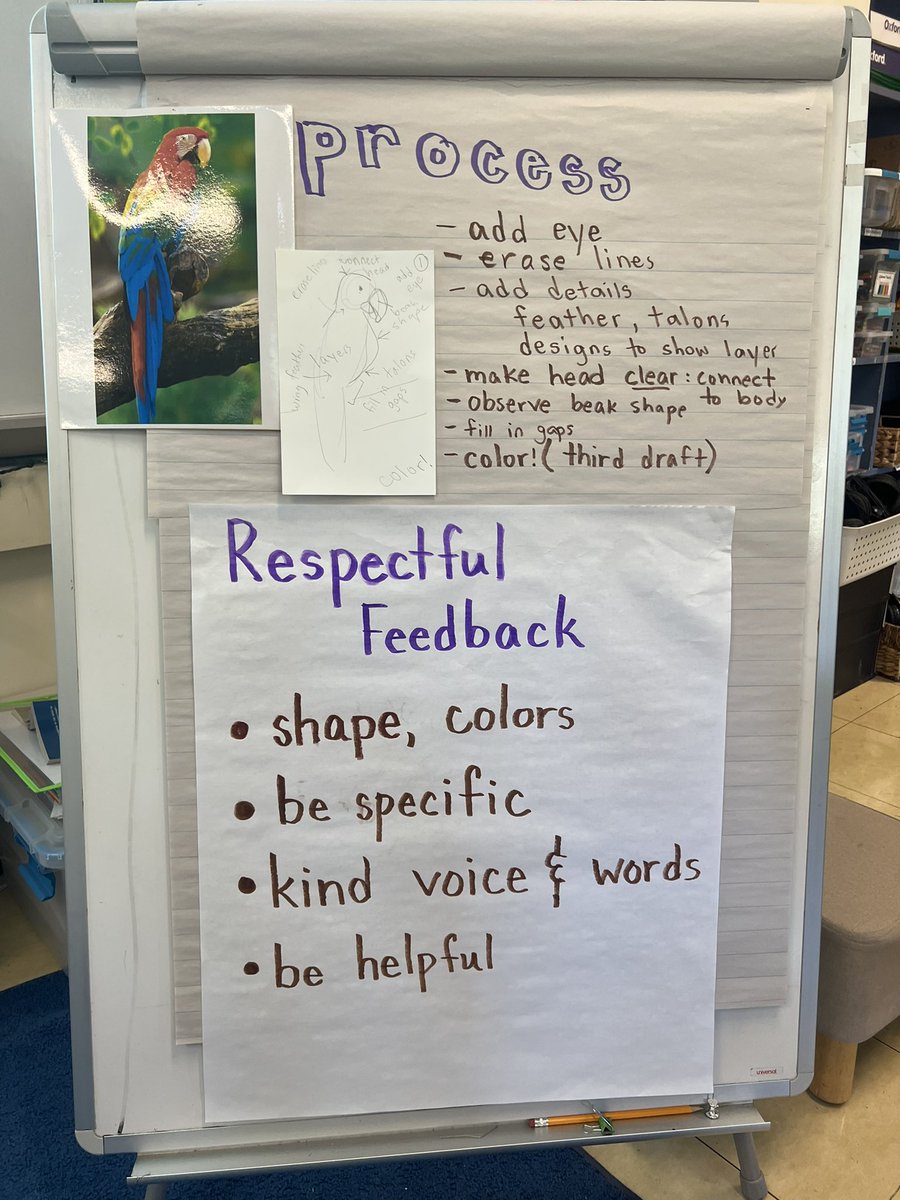 APSLitLounge's tweet photo. Bishop 4th graders are learning strategies that will help them produce high quality work. This week, they created multiple drafts of an animal with the help of critiques from their peers. #ELEducation #highqualitywork #ArlingtonLaunchesEL #bishopbears https://t.co/XEH0eMYYbs