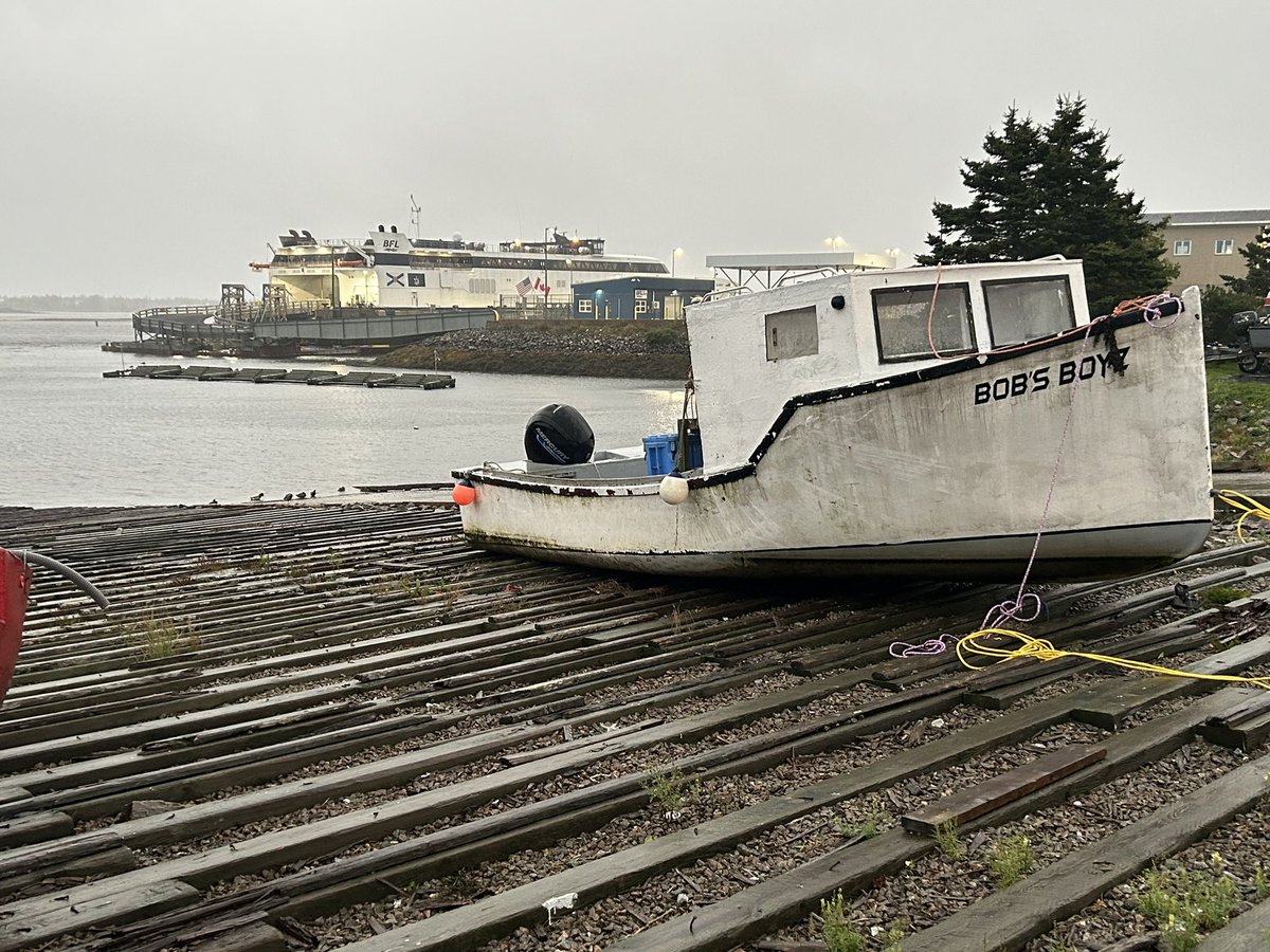Héloïse Rodriguez tweet media