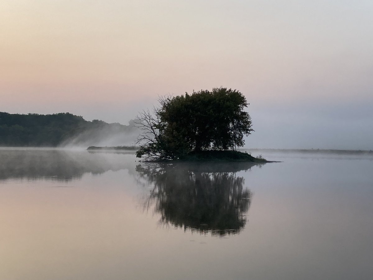 Morning runs don’t get much better than this 💕. Fog may not be friendly to the lungs but it is easy on the eyes 👀