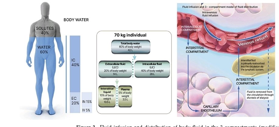 LeslieMegom's tweet photo. 👩‍⚕️👨🏻‍⚕️El Rol de los cristaloides 💧💧en el perioperatorio: desde lo básico hasta las aplicaciones clínicas y los protocolos de recuperación mejorados🎯👌
👇👇👇👇👇👇
https://t.co/N0U4PAaIce
🗝🔓
https://t.co/GVNBHYbrMx https://t.co/bJP2tZFdbZ