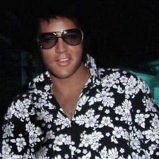 Julielouisesha1's tweet photo. Good afternoon all hope your having a lovely Saturday #Elvis2023 https://t.co/cuTs7hhFu1