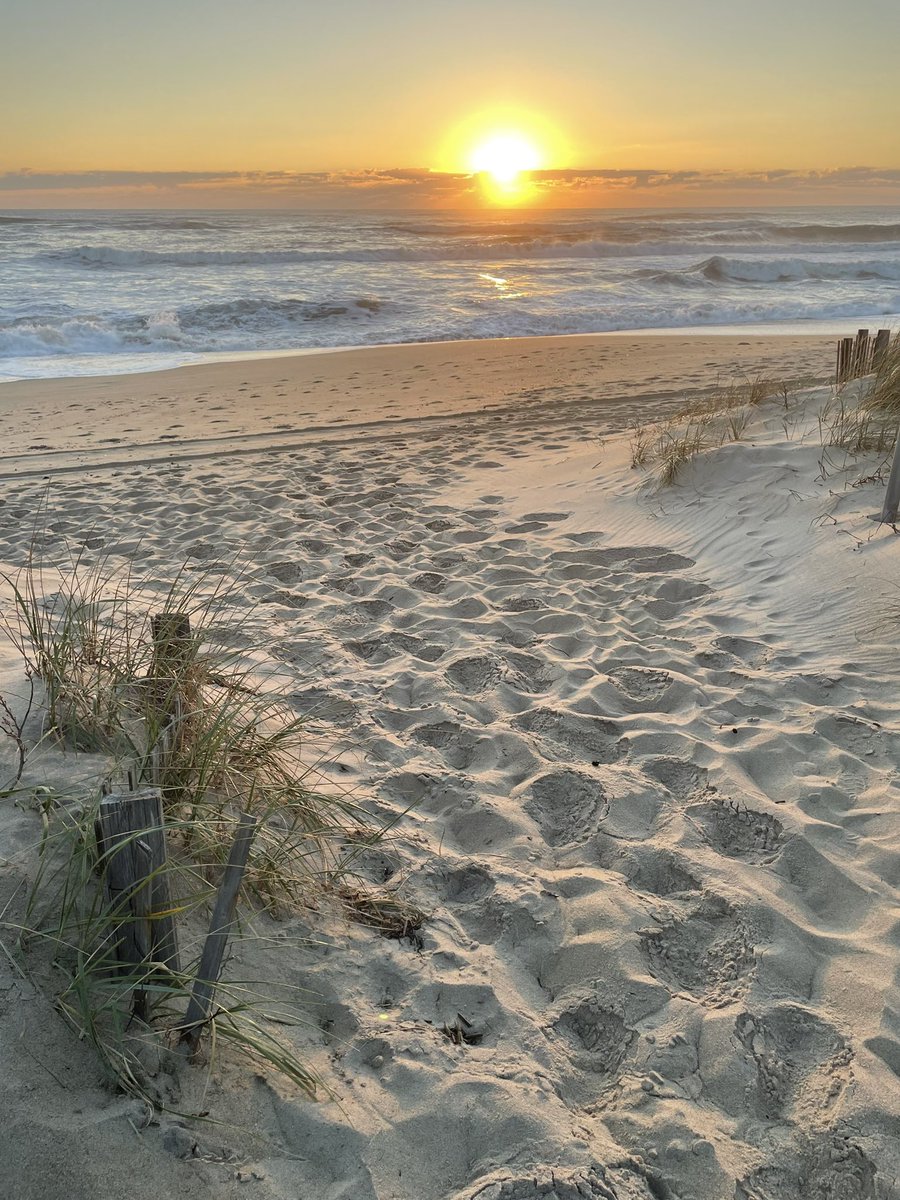 liz_veeuh's tweet photo. (4/4)
#OBX #sunrise #outerbanks #outerbanksnc #northcarolina #beach #beachlife #beachvibes #beachsunrise #sunrisephotography #sunrisebeach #nagshead #nagsheadnc #seaoats #windfence #waves #roughwaves #roughsea #sand #sanddunes #dunes https://t.co/3lI8dIH6gO