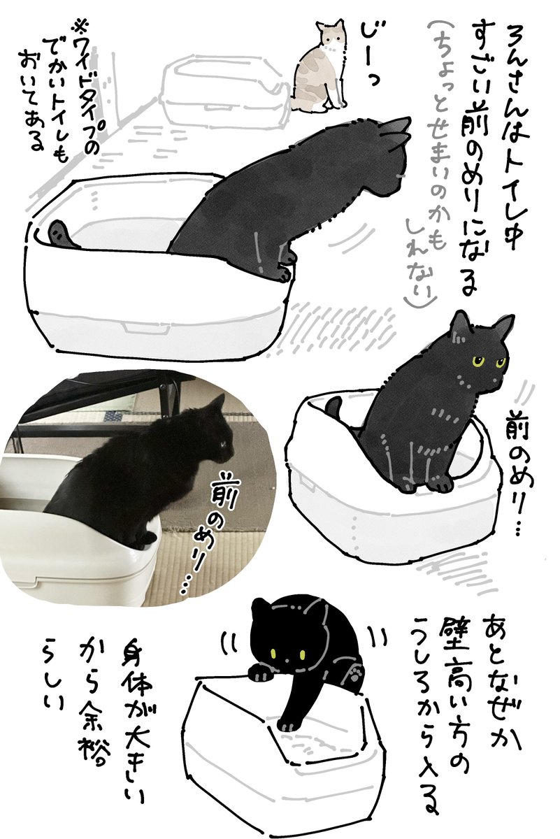 最近みたさんの「ろん兄さんリスペクト」がすごくてトイレの仕方まで完コピしててかわいい ねこの子どもはこうやって先輩から学んでいくんやね(先輩が正しいかどうかは別として…) 