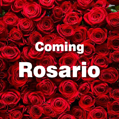 SoniMutyar's tweet photo. Coming Rosario🌹😍🌹

#sonimutyar #herbal #herbalnatutral #herbalife #handmadebeautyproduct #product #handmadewithlove #madeinindia #natural #rose #roselover https://t.co/zkF71BKxIA
