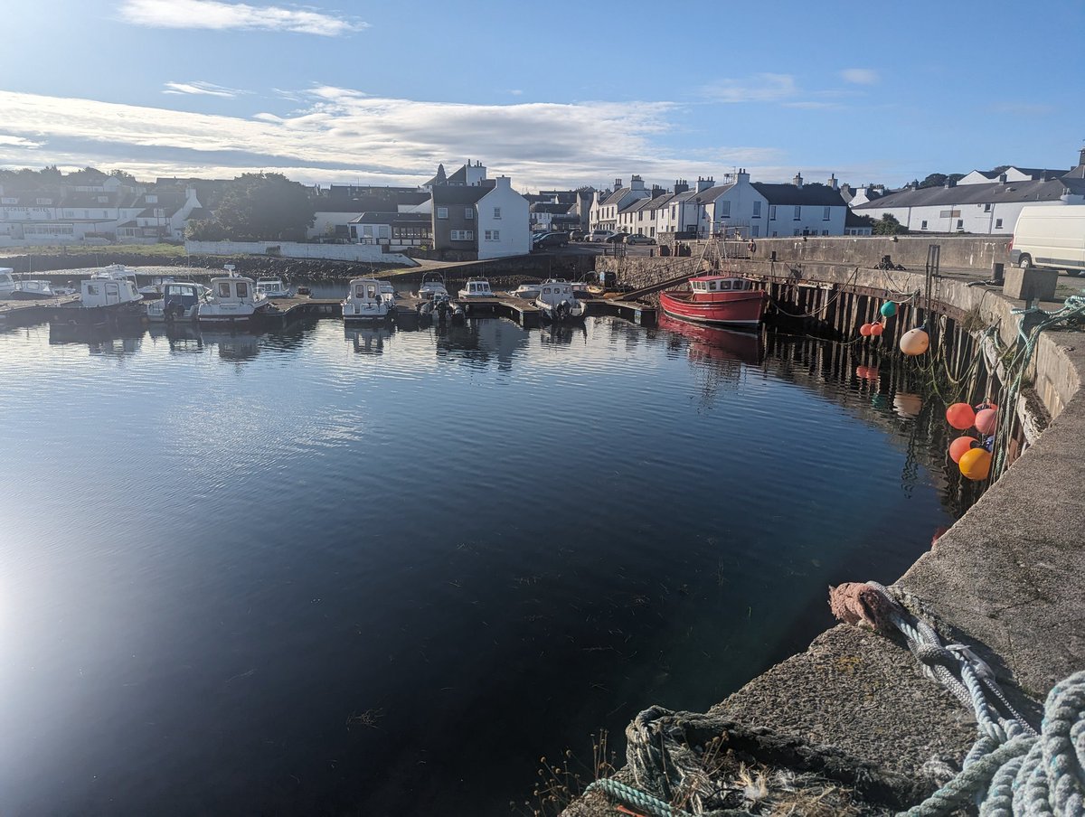 Another beautiful morning on Islay 🌞
