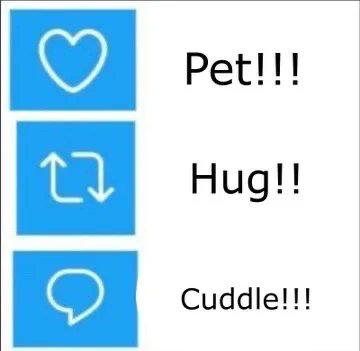 how will you show affection for ogerpon?