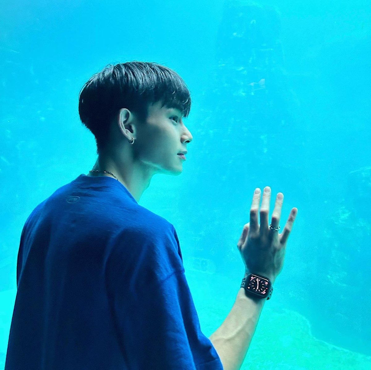 _1saacyang's tweet photo. 🐬 https://t.co/sAQYMpYo6z
