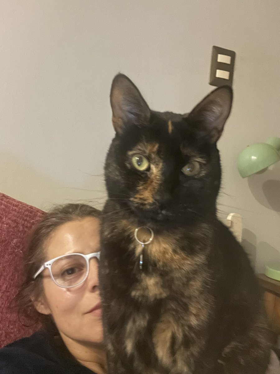 CristinaPyL's tweet photo. Gente, mi gata Leona lleva dos días pérdida, no ha vuelto, se perdió en el sector de Portugal con Matta, si alguien la ve que me avise al Watsap al 988083197 o al 988392978, por favor! Los que me conocen saben lo importante que ha sido para mi! Porfa si pueden RT 🙏🙏🙏 https://t.co/S3IGetTZJn