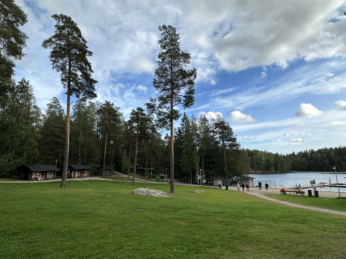 @rodrigooliveira.bsky.social tweet media