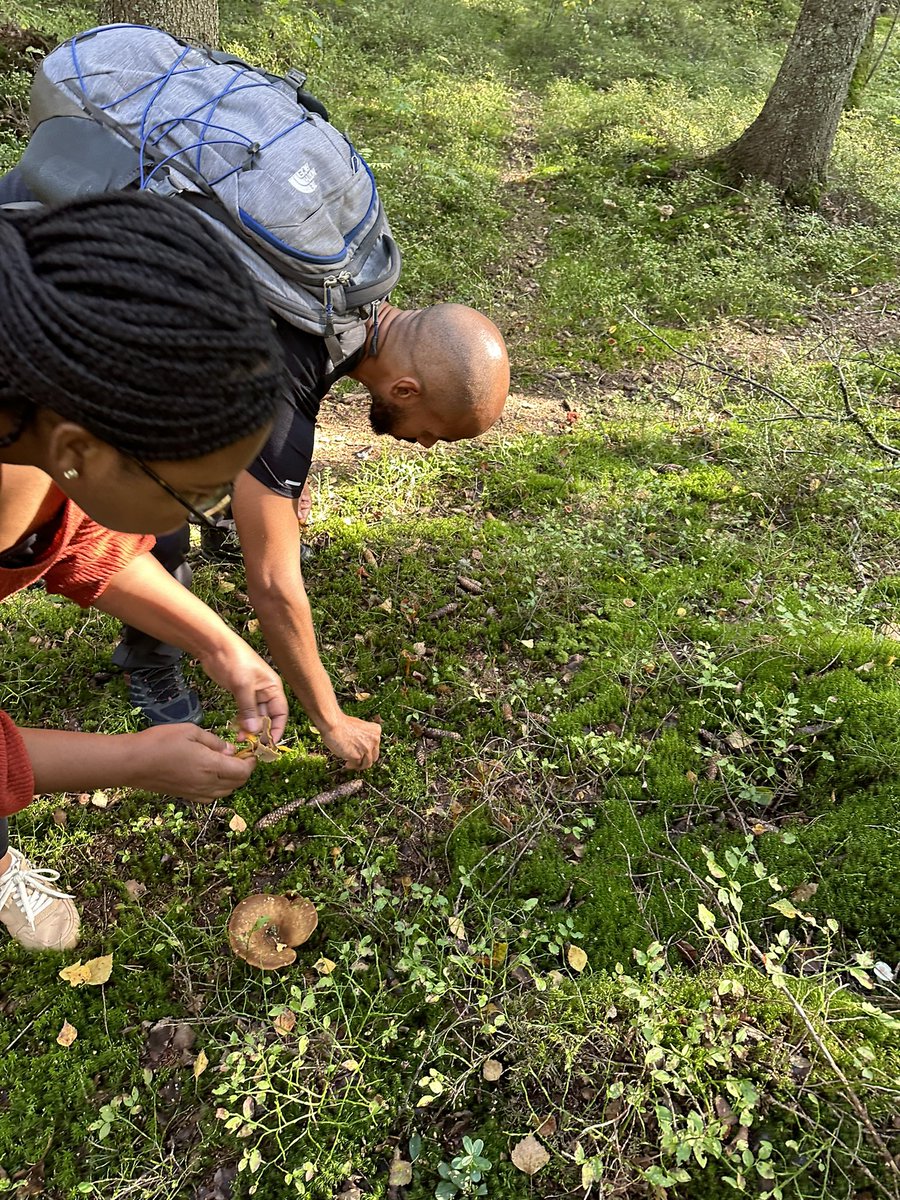 @rodrigooliveira.bsky.social tweet media