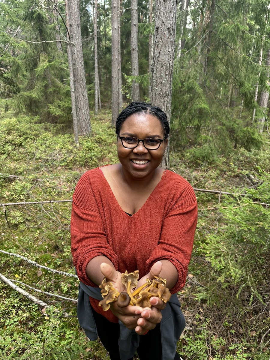 @rodrigooliveira.bsky.social tweet media