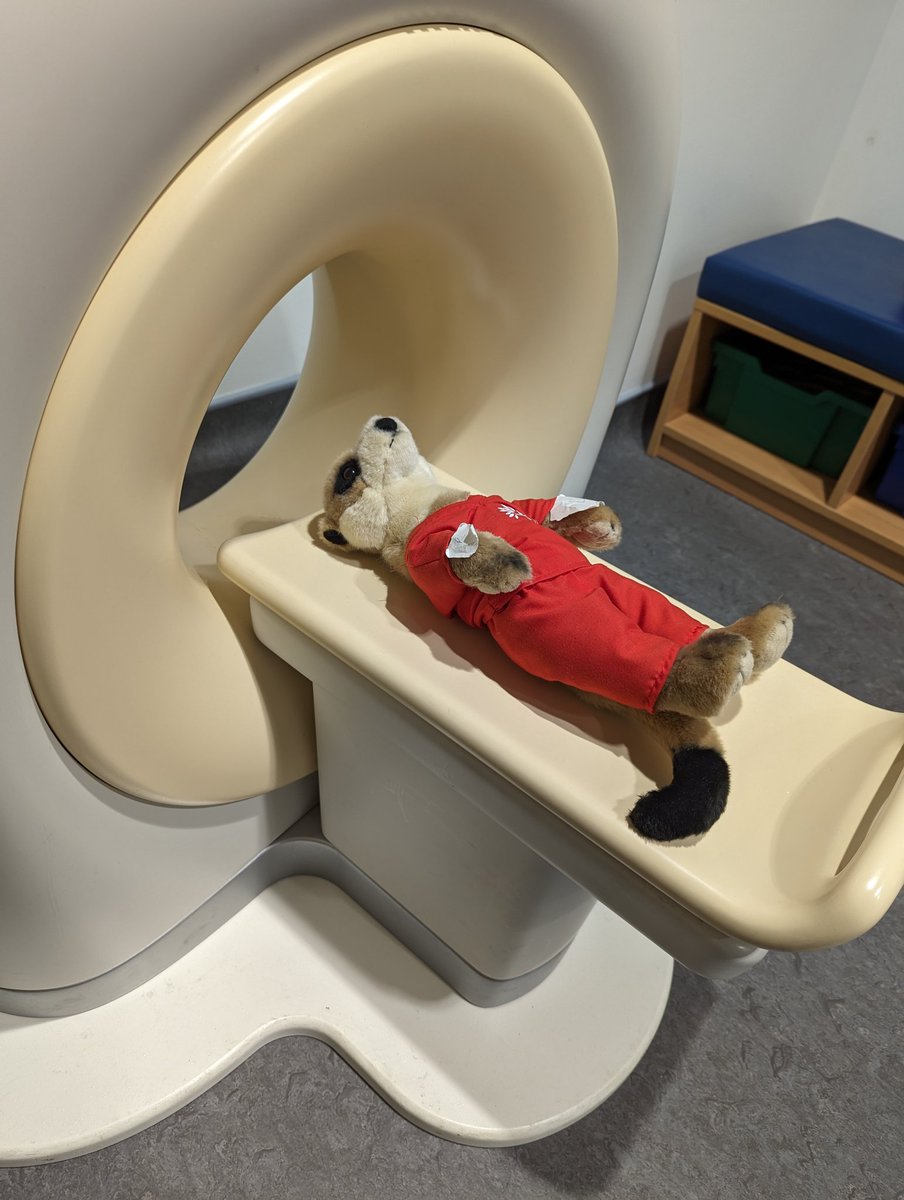 @neely_r @martin_compston Getting very excited about the forthcoming arrival of meerkats at RHCYP. We're getting prepared in the Imaging Department already. If you want to know what this little fella has to do with radiology, check out Chapter 5 of #ImaginingImaging