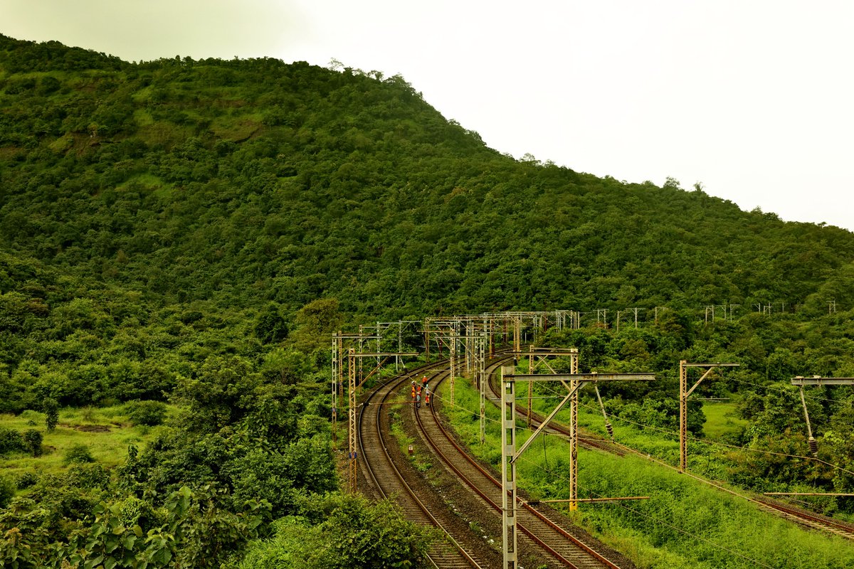 Central_Railway's tweet photo. Witness the breathtaking beauty of Bhor Ghat at a beautiful curvature near Palasdhari! ☔

Nature's artistry meets the banker &amp; Vande Bharat! 🌧 https://t.co/KI0EtuosHY
