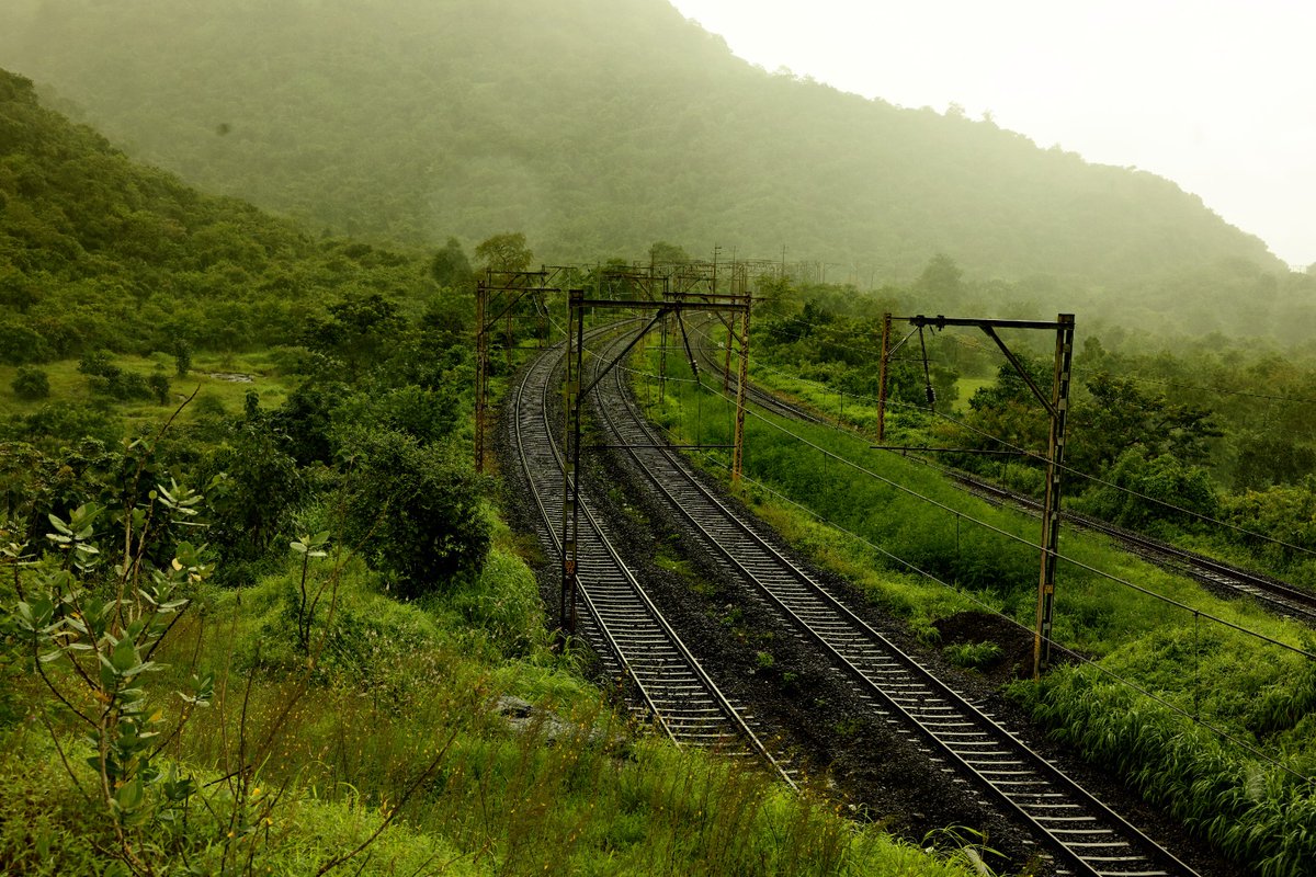 Central_Railway's tweet photo. Witness the breathtaking beauty of Bhor Ghat at a beautiful curvature near Palasdhari! ☔

Nature's artistry meets the banker &amp; Vande Bharat! 🌧 https://t.co/KI0EtuosHY