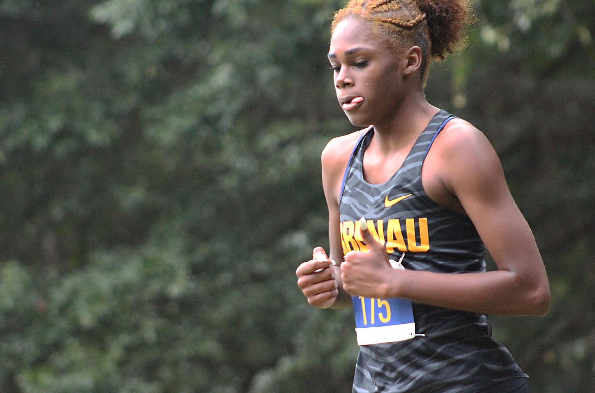 The Brenau Cross Country team finished in eighth place at the UNG Invitational yesterday.