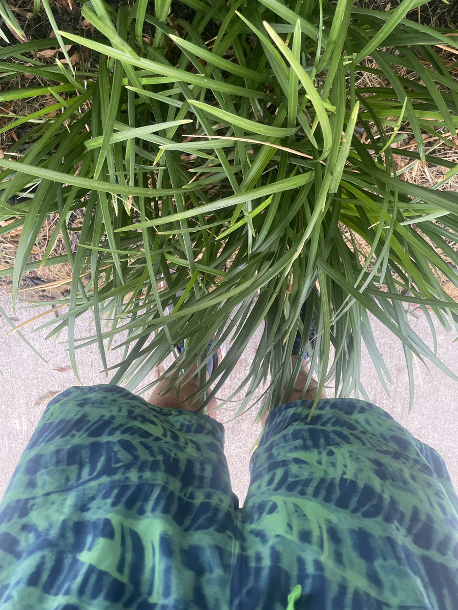 HenryHoward tweet media