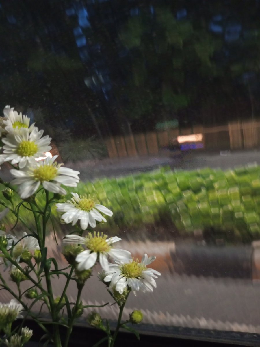Yujaeniess's tweet photo. https://t.co/M1tyZnde3n