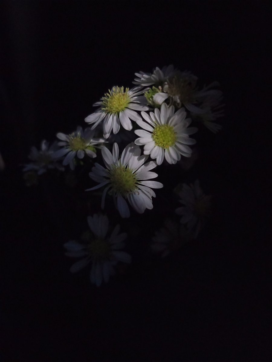Yujaeniess's tweet photo. https://t.co/M1tyZnde3n