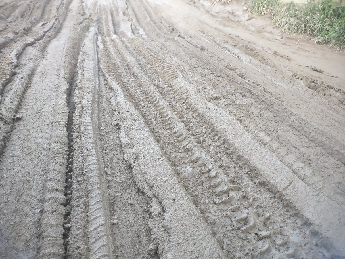 KiranChevella's tweet photo. @KTRBRS @TelanganaCS @DC_RajendraNagr1 @GHMCOnline @TSwithKCR KTR garu, pls look into this, This is the most worst road in hyd City, bside lane of Biological e Ltd, Gaganpahad. Complained to GHMC RJNR number of times, still d road is getting worse everyday. People are suffering. https://t.co/0c6PqCGZgz