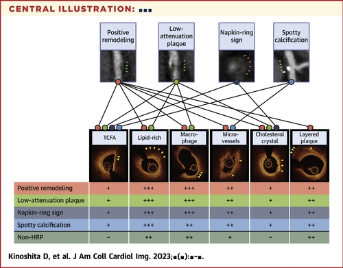 4 high-risk plaque features on coronary CT angiography were associated with features of vulnerability on invasive OCT: positive remodeling, low-attenuation plaque, napkin-ring sign, and spotty calcification jacc.org/doi/10.1016/j.…