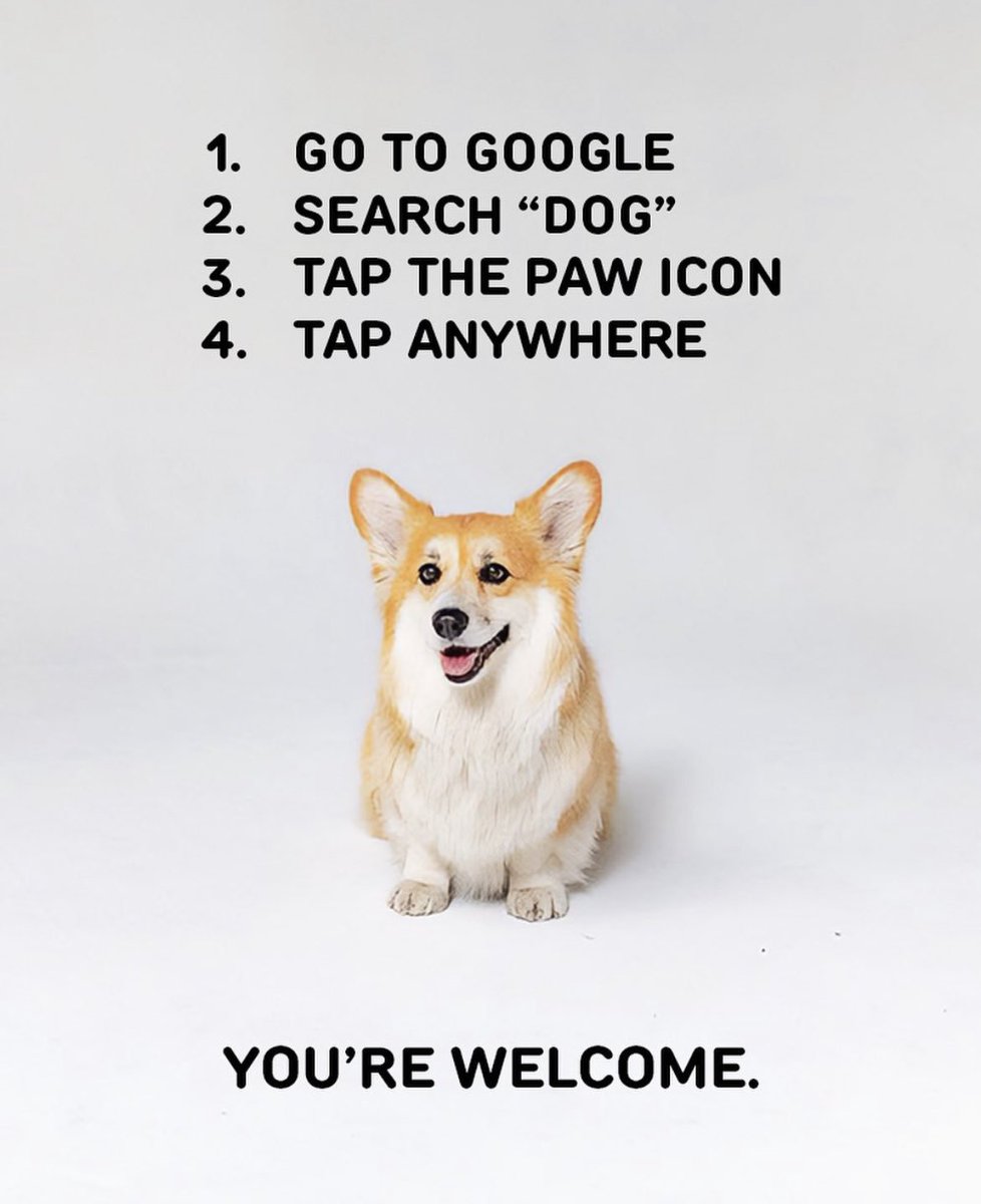 Important breaking news. If you’re feeling down: