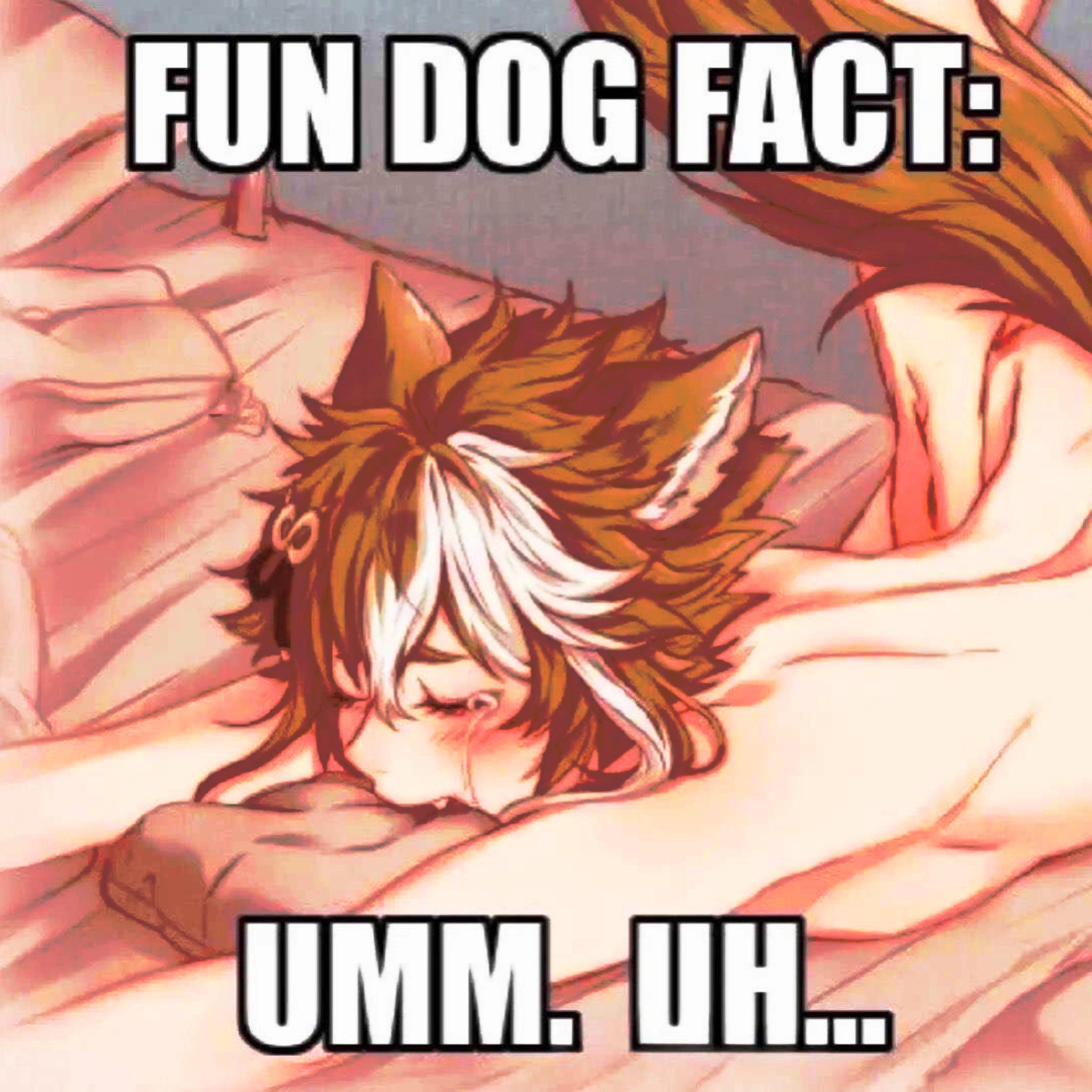 Boi XD - Meme by Unknownroad_uwu :) Memedroid