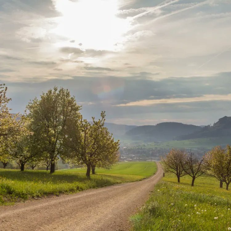 Wie schön die Natur sein kann, beruhigend..
Von unseren Ausflügen in Nah und näheren Ausland. Herrlich