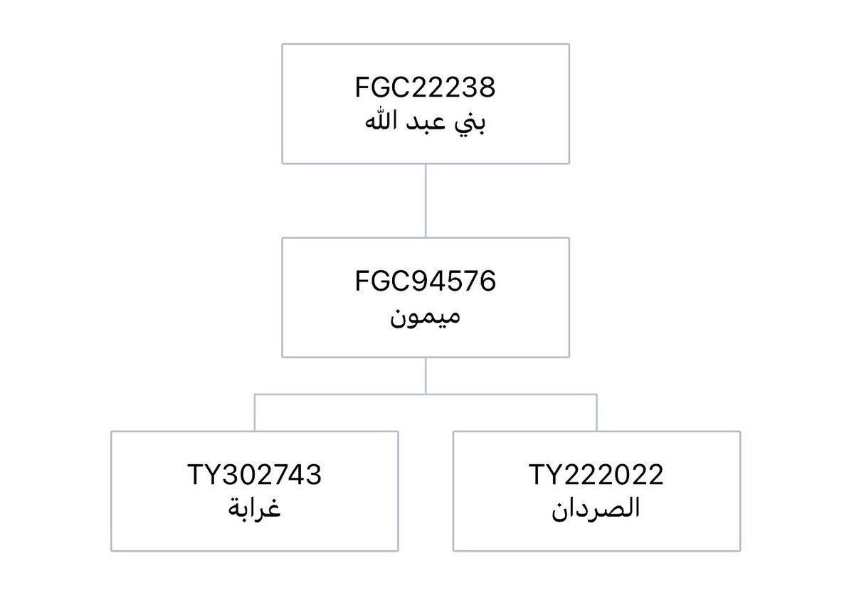 MutirDNA's tweet photo. إستكمالاً للجهود في التغريدة المرفقة ، تعلن #سلالات_مطير عن اكتشاف تحور غرابة من ميمون وهو TY302743 كما هو موضح في المشجرة . https://t.co/pC3BrcxCis