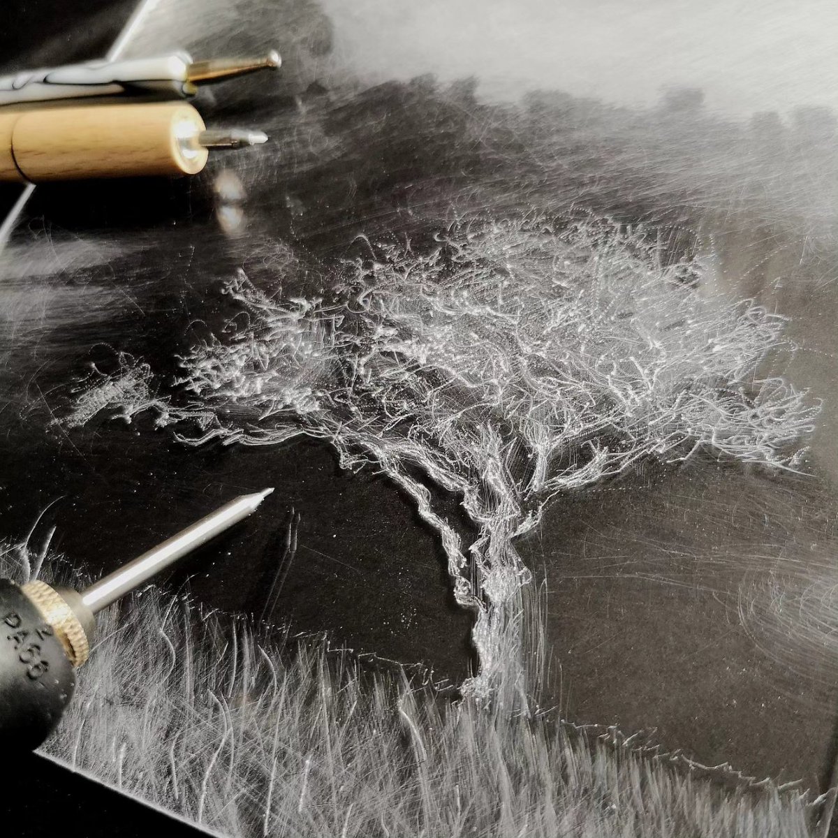 Lynn Bailey tweet media