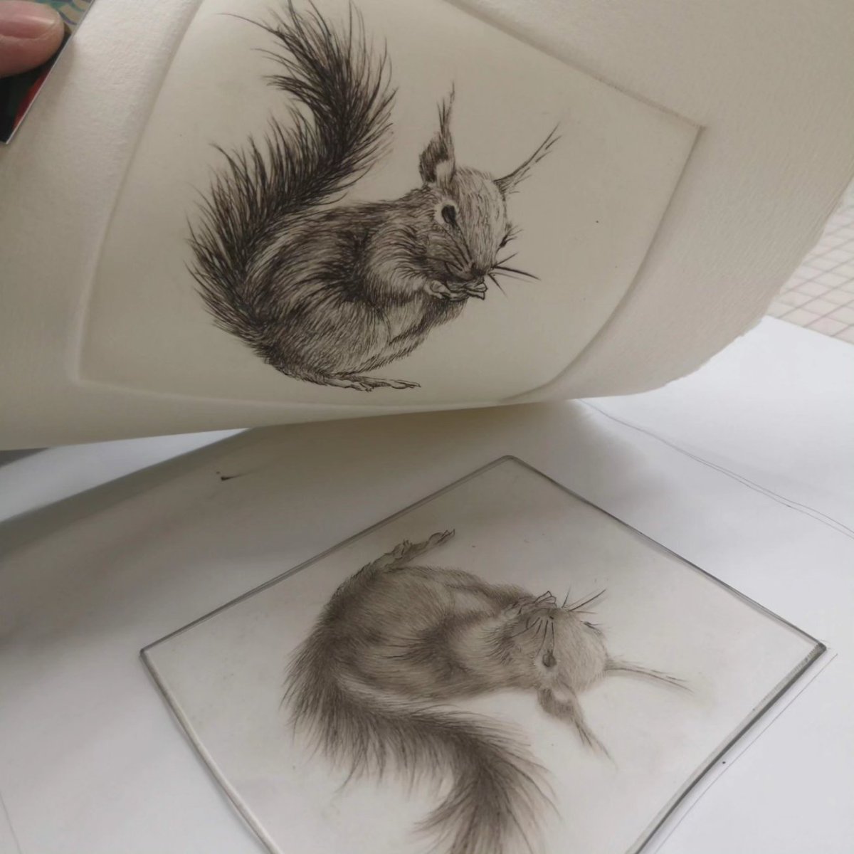 Lynn Bailey tweet media