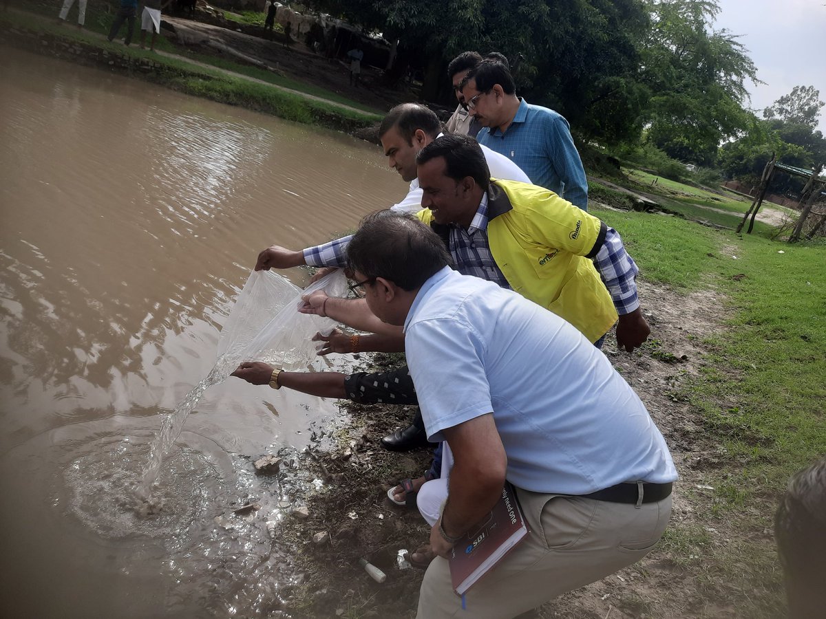 Paramvi95280194's tweet photo. #Embed @Budaun फैमिली हेल्थ इंडिया प्रोजेक्ट द्वारा  ग्राम पंचायत बसेला में एसडीएम सर तहसीलदार सर MOIC sir के साथ Gambusiya मछली तालाब में डालते हुए 
#malaria 
#Dengue 
#malariafreeIndia 
@sksomya @Ani212215
@santoshbhargav2 
@Archana2442 
@dm_budaun https://t.co/rnaWZeXDHI