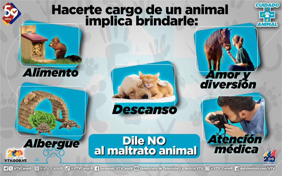#NoAlMaltratoAnimal🐾| Ser responsable de un animal conlleva un compromiso que debes conocer, es preciso que tomes en cuenta poder ofrecerle:

Buena alimentación 🍗
Descanso 💤
Atención médica 💉💊
Albergue 🏡
Y sobre todo, amor y diversión 💕

#VenezuelaEsÚnica