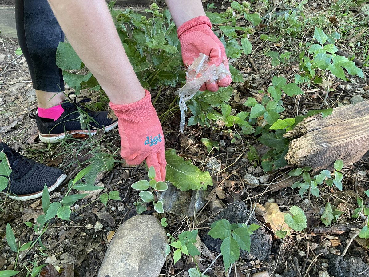 Estonia_in_US's tweet photo. Today is the #WorldCleanupDay, a global initiative born in Estonia 🇪🇪 15 years ago. 

Team @Estonia_in_US joined the local community to clean the walking trail in Glover Park neighbourhood in NW Washington DC🇺🇸 

After all, raking the forest for the common good - why not? 🧹♻️🧤 https://t.co/YGc240prOo