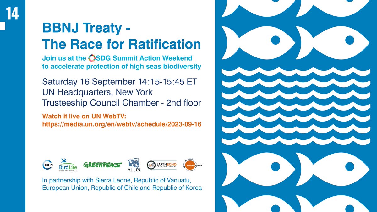 And now it’s time for States to sign up to the #HighSeasTreaty! Join us TODAY to kick off the #RaceforRatification & discuss the significance of this binding tool to protect 2/3 of the ocean @UN #SDGActionWeekend in New York or @UNWebTV👉 bit.ly/480WdKd #UNGA78 #SDG14