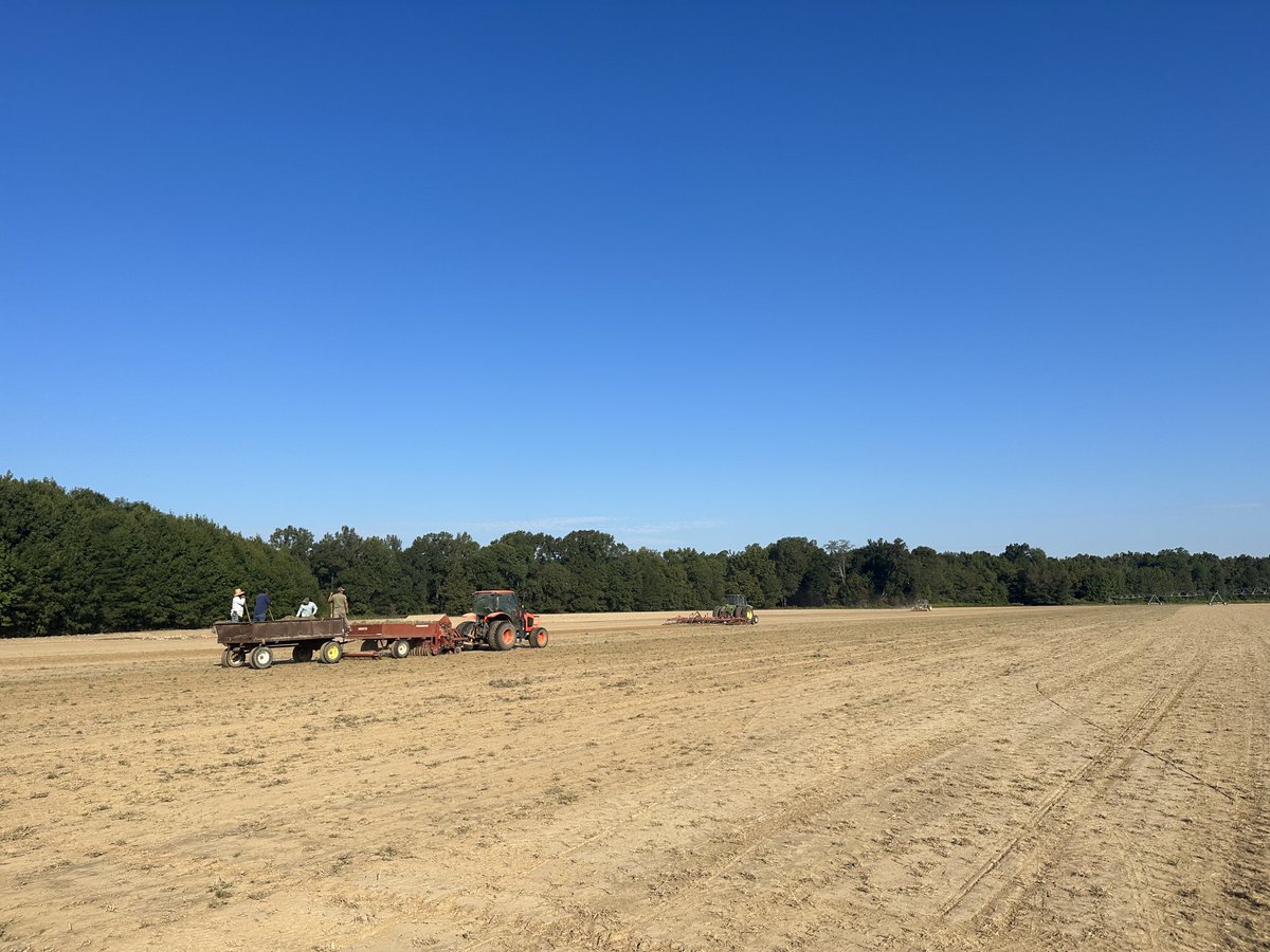 Expansion continues on this beautiful Saturday. September planting for the win!