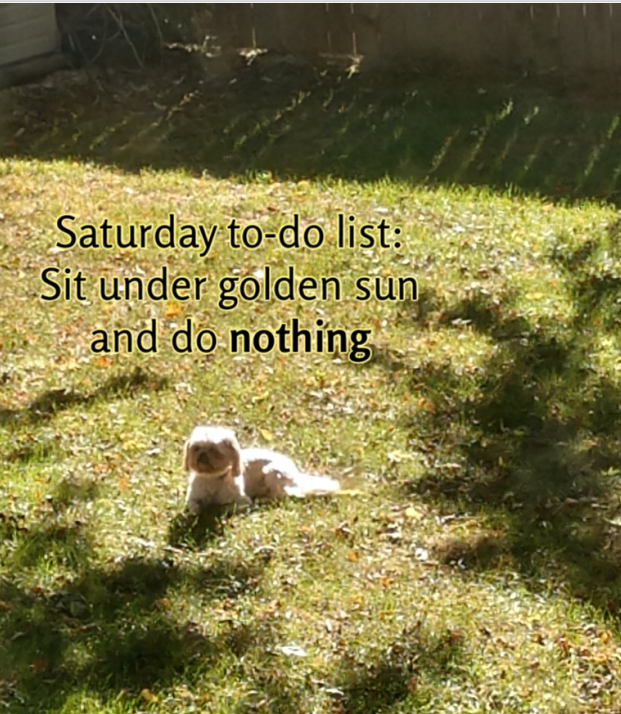 Saturday to-do list: Sit under golden sun and do nothing #vss365 #sun #inkMine #golden #tenword #mypic