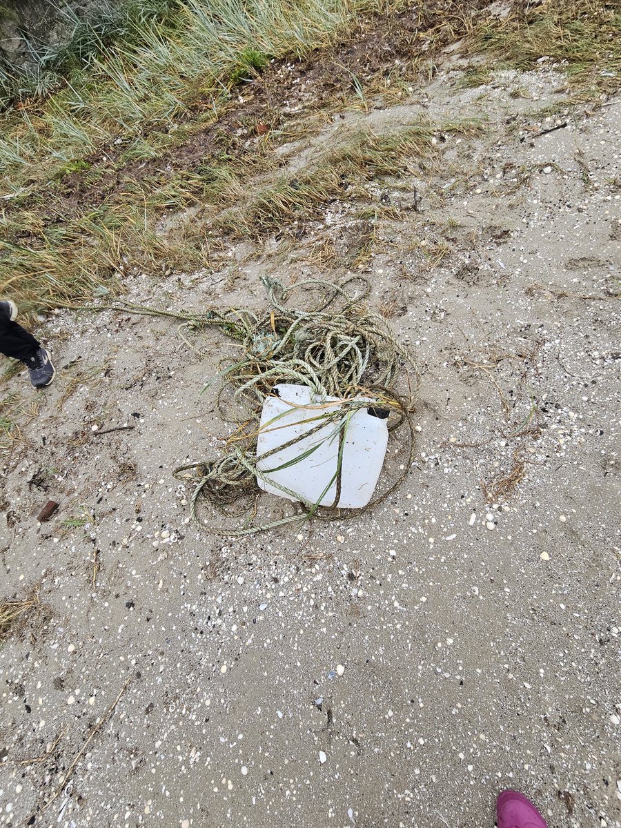 rita_hagan's tweet photo. Great turnout despite the drizzle for a combined #BigBeachClean23 and @coastwatch_ire annual survey this morning on #Merrion strand https://t.co/2PlKuV4Wg1