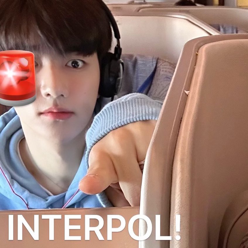 새로운 인터폴짤