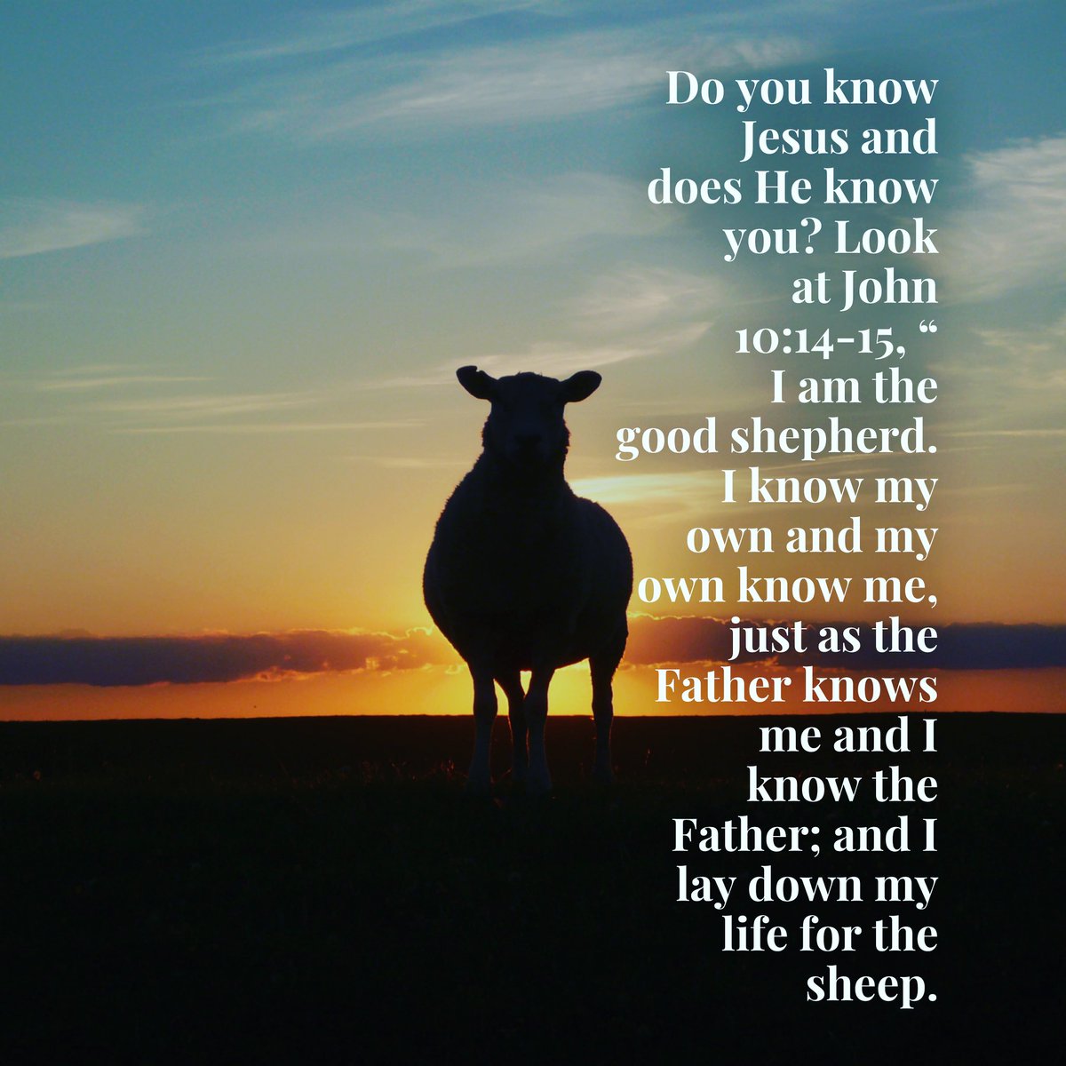 RevJosephTLee1's tweet photo. Do you know Jesus and does He know you? See John 10:14-15, “ I am the good shepherd. I know my own and my own know me, just as the Father knows me and I know the Father; and I lay down my life for the sheep.” https://t.co/ufXGs3GQ6q
