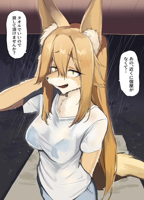雨の日にケモノ娘が訪ねて来た 