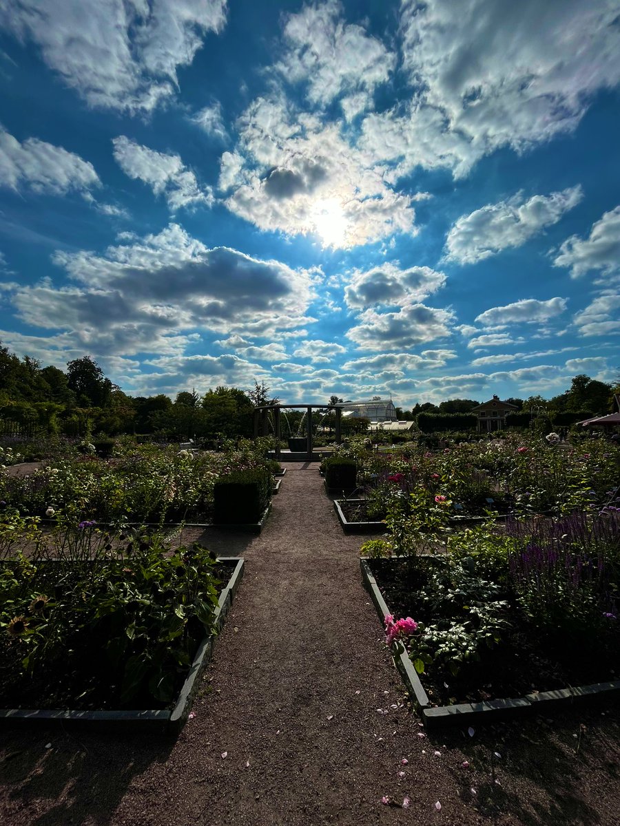 Malin_Overmars's tweet image. Enjoyed the #VasCog conference on vascular cognitive impairment in the beautiful city of Götenborg 🧠🇸🇪 @VasCogSociety #PhDlife #PhD #HeartBrain